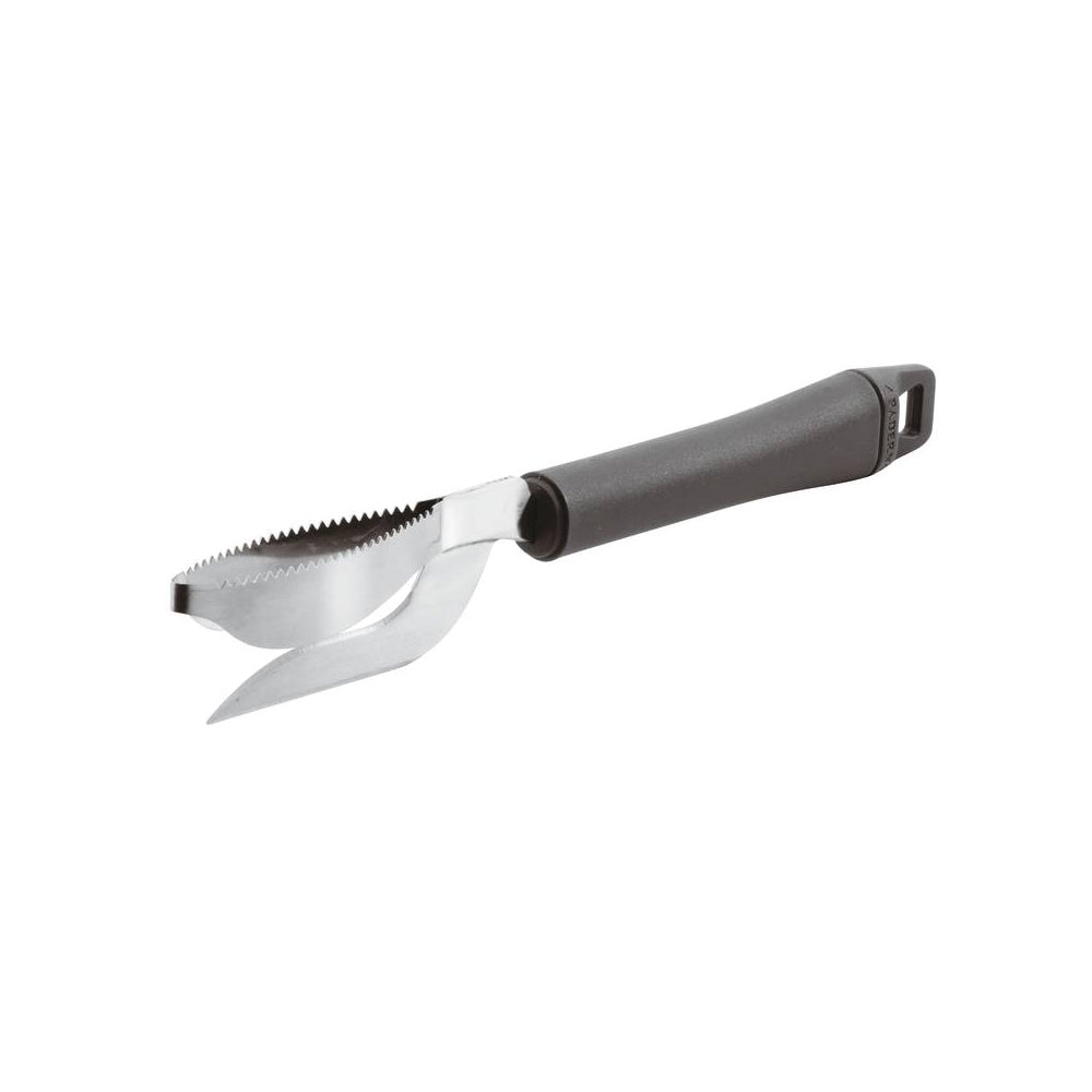 Coltello squamapesce