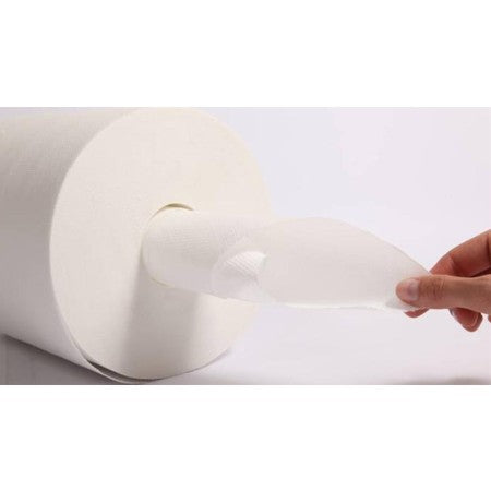 Rotolo carta cellulosa spirale mini 2 veli 12 rotoli