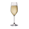Calice restaurant flute cl.24 bormioli rocco