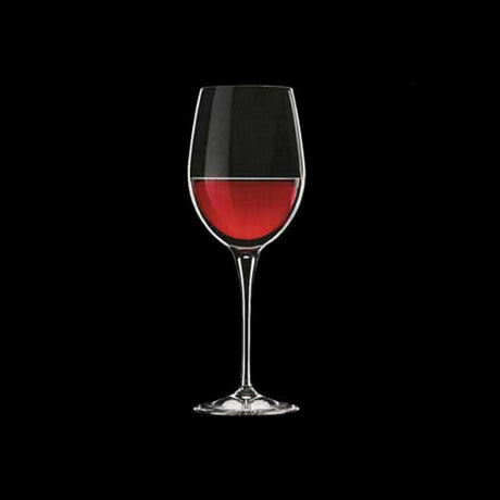 CALICE PREMIUM BARBERA CL.47 MODELLO 10 BORMIOLI ROCCO
