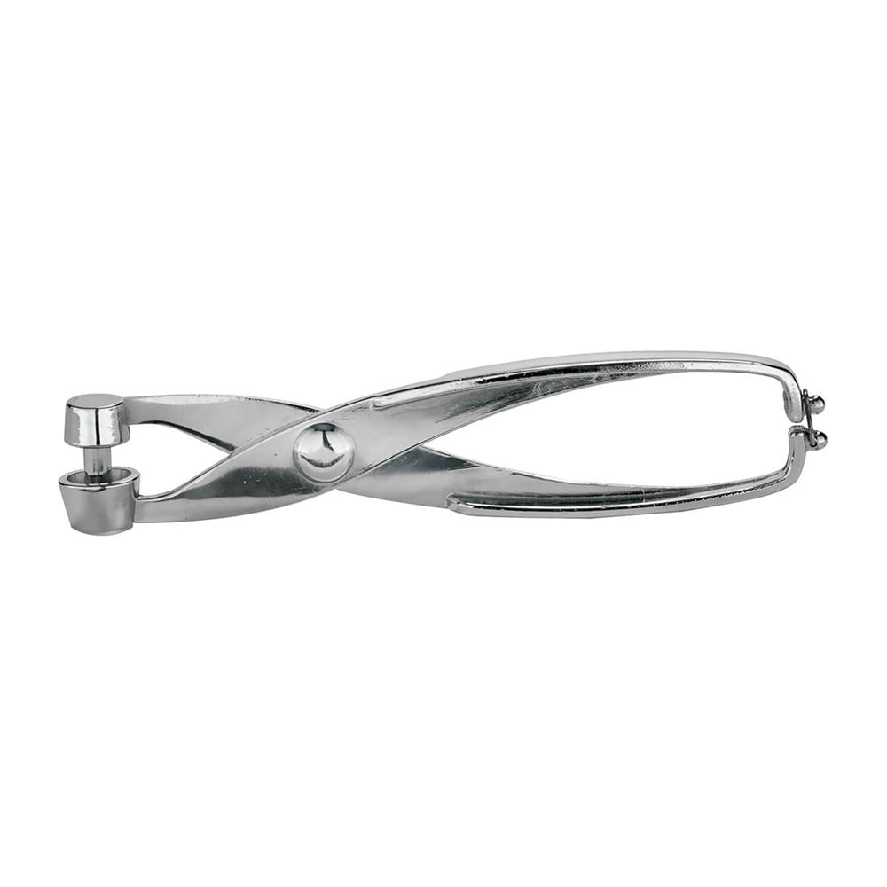 Snocciolatore inox cm.17 sambonet paderno
