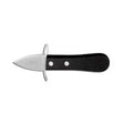 Apriostriche tridentum inox