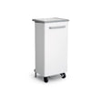 Pattumiera inox verniciata con pedale lt.110 apertura frontale