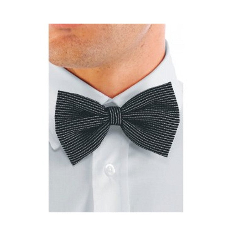 Papillon gessato