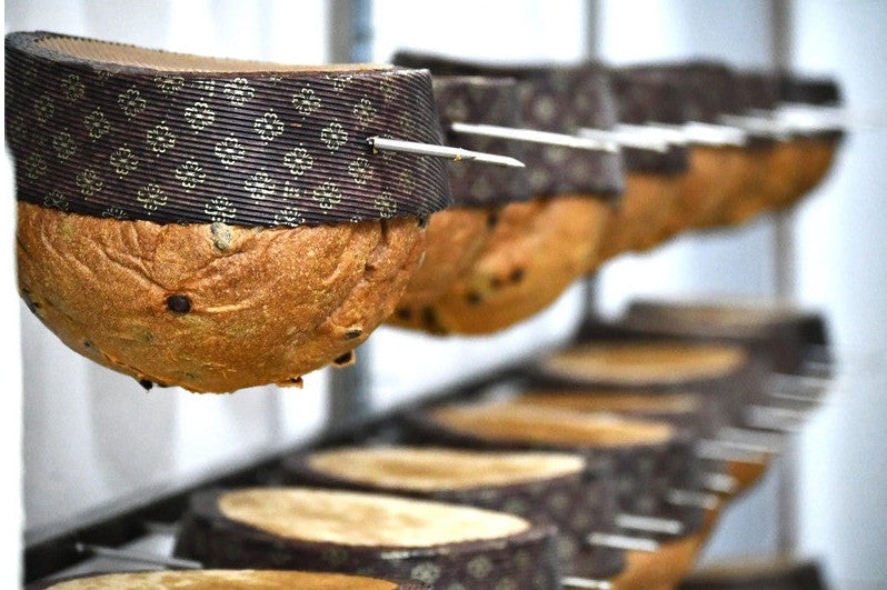 Ago gira panettone cm.60