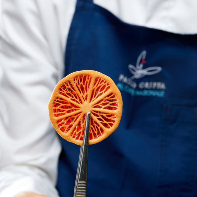Stampo silicone gourmand citrus mm.300x175 pavoni