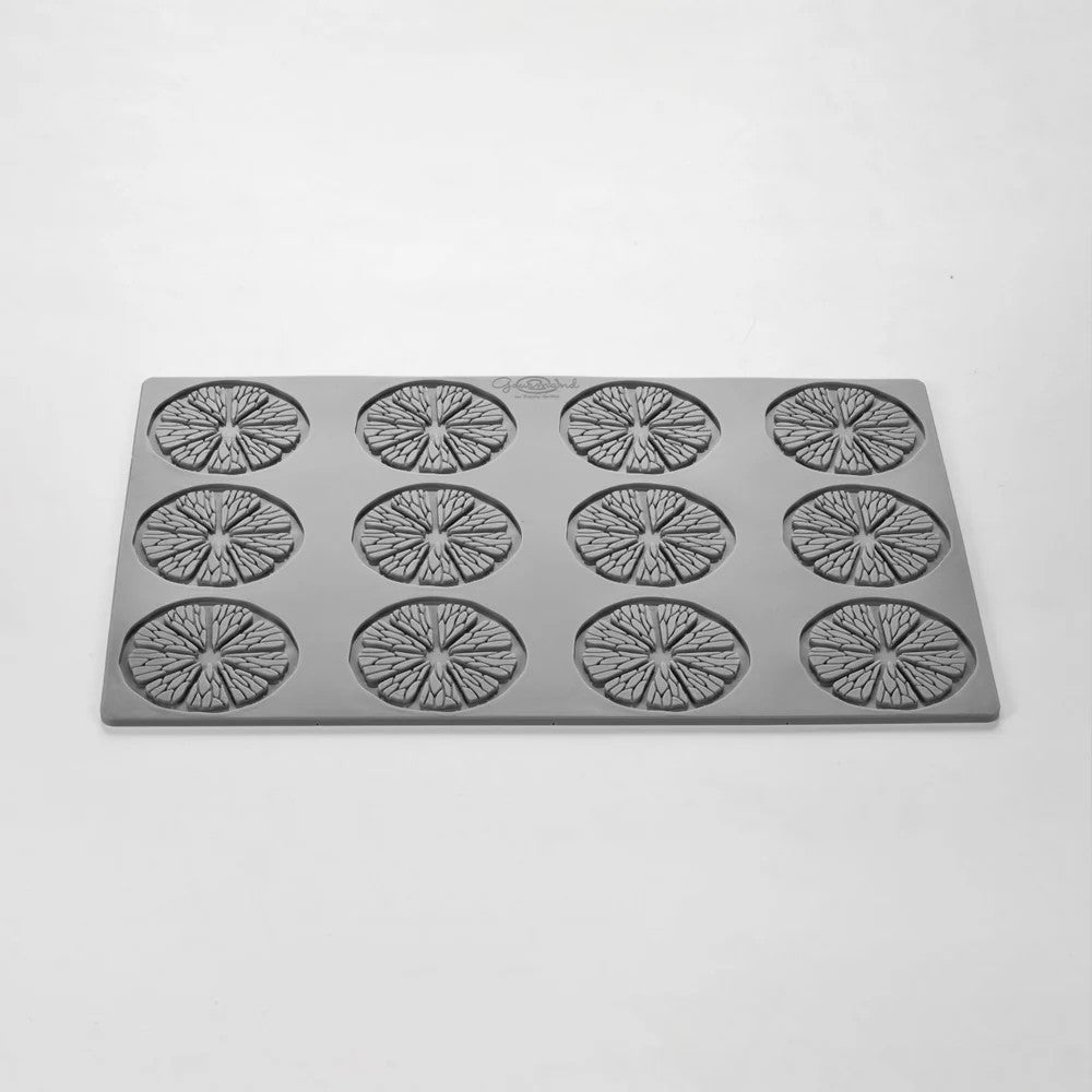Stampo silicone gourmand citrus mm.300x175 pavoni