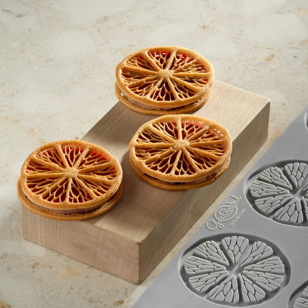 Stampo silicone gourmand citrus mm.300x175 pavoni