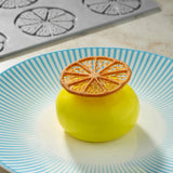 Stampo silicone gourmand citrus mm.300x175 pavoni